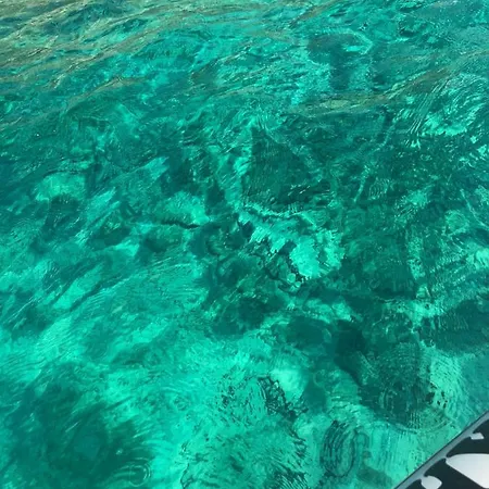 A Casa Di Alice Apartment *