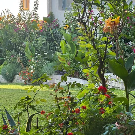 A Casa Di Alice Apartment