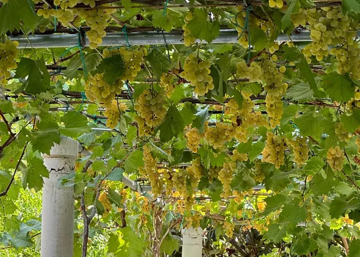 Appartamento A Casa Di Alice