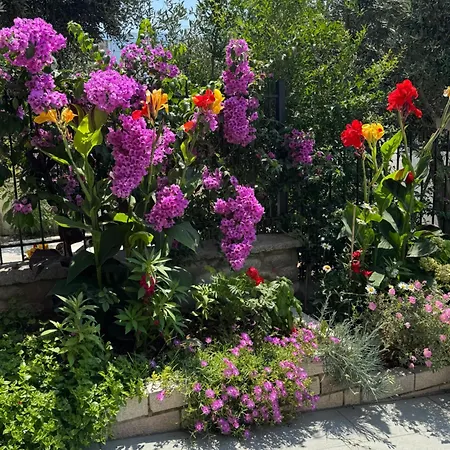 A Casa Di Alice Апартаменты